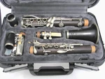 Selmer Paris Series 10 Professional Model Clarinet Wood. Fixed Price $549.00.