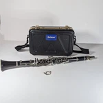 Selmer Intermediate CL201 Wood Clarinet Case Light Wear. Fixed Price $329.99.