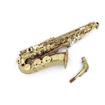 Allora AAS-550 Paris Series Alto Saxophone Lacquer 197881421274 Ob. Fixed Price $1574.25.