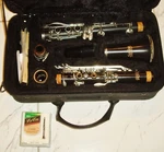Solist Las Vegas Clarinet W/case Untested. Fixed Price $135.65.