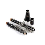 Allora Vienna Series Grenadilla Clarinet Nickel Plated Keys 197881285203. Fixed Price $749.99.