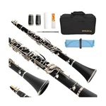 Bb Clarinet For Beginners, Professional Black Wood With Hard Case, C.... Fixed Price $163.77.