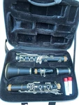 Lj Hutchen Clarinet Great Condition! With Soft Case & Extras!. Fixed Price $84.99.