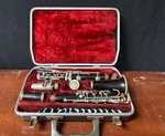 Roxy Bundy Clarinet -6-60543. Fixed Price $109.99.