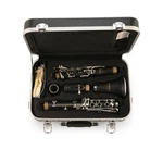 Pearl Belsona Series Student Clarinet +case BCLR200 Worldship New Dealer. Fixed Price $999.00.