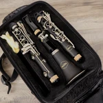 Allora Bb Student Series Clarinet With Case. Fixed Price $139.99.