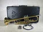 Antigua Vosi TR2560LQ Bb Trumpet (A1G012571). Fixed Price $799.00.