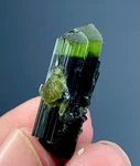 14.80 Carat Beautiful Green Cap Tourmaline Crystal From Afghanistan. Fixed Price $39.20.