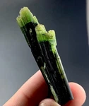 56 Carat Beautiful Green Cap Tourmaline Crystal From Afghanistan. Fixed Price $199.99.
