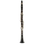 Selmer Paris Privilege Evolution Soprano Bb Clarinet. Fixed Price $7425.99.
