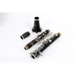 Allora Vienna Series Grenadilla Clarinet Nickel Plated Keys 197881021061. Fixed Price $749.99.