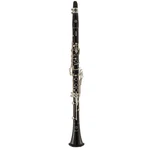 Selmer Paris Privilege Evolution Soprano Clarinet. Fixed Price $8587.99.