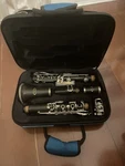 Palm Clarinet With Case. Fixed Price $65.00.
