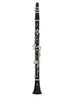 Yamaha YCL-255 Clarinet Bundle Lyre, Cleaning Supplies, Face Mask Used. Fixed Price $459.99.