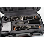 Buffet Crampon E11 Bb Intermediate Wood Clarinet 194744447792. Fixed Price $1349.25.