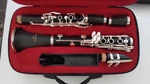 Vangoa Bb Flat Beginner Student Clarinet Silver Plated For School Band. Fixed Price $89.00.