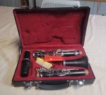 Accent CL521P B-flat Student Clarinet With Hard Case Mouthpiece And Accessories. Fixed Price $129.95.