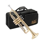 Jean Paul TR-330 Student Bb Trumpet Brass Lacquered Only. Fixed Price $356.06.