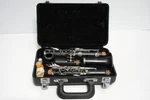 Hunter New York HT01 Bb Clarinet W/ Case Mouthpiece Ligature Cork Grease Swab. Fixed Price $94.99.