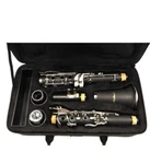 New Bb Concert Millbrook Student Intermediate Band Clarinet. Fixed Price $199.99.