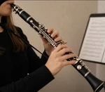 Selmer Signet 100 Bb Clarinet W/ Case Grenadilla Wood Vintage 1960S France Made. Fixed Price $109.99.