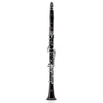 Buffet Crampon Divine Professional Clarinet Soprano. Fixed Price $11937.00.