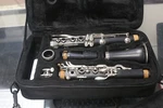 Verve Clarinet - With Hardcase. Fixed Price $99.00.