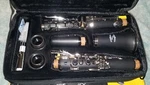 Peak Select-glory Clarinet Package With Anfree Swabs And Mouthpiece Accessories. Fixed Price $79.99.