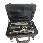 Stagg Clarinet Instrument Case WS-CL210 Bb Abs Needs New Pads. Fixed Price $97.03.