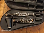 Borg Black Silver Standard Clarinet Set With Case (untested). Fixed Price $24.79.
