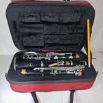 Signet 100 Complete Wood Clarinet W/hd Red Gator Traveling Case. Fixed Price $100.00.