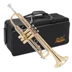 Jean Paul TR-430 Intermediate Bb Trumpet Brass Lacquered With Rose Le.... Fixed Price $577.76.