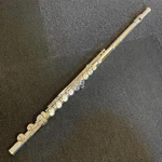Muramatsu -cce Flute Excellent Condition E-mechanism Used With Case. Fixed Price $1690.00.